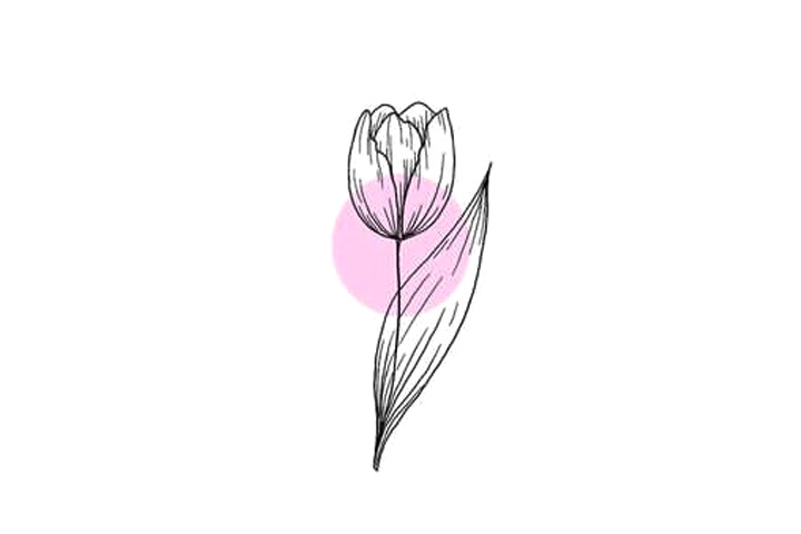 植物花草简笔画漂亮的小花简笔画图片（12张）-图1