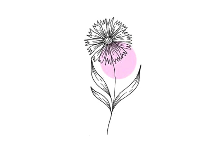 植物花草简笔画漂亮的小花简笔画图片（12张）-图8