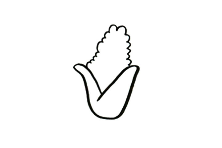 步骤2：完成玉米的轮廓。