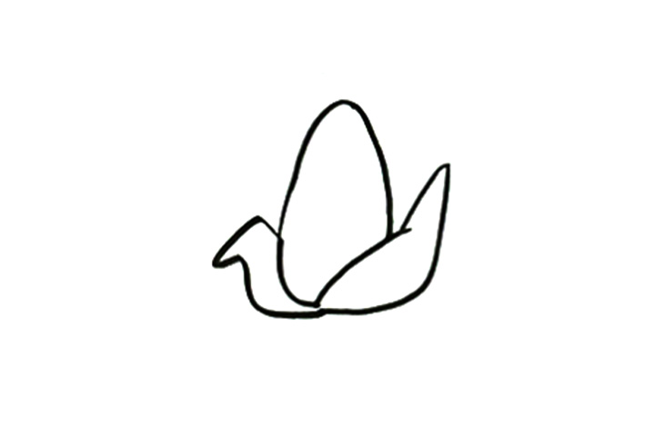 如何画玉米简单-图2