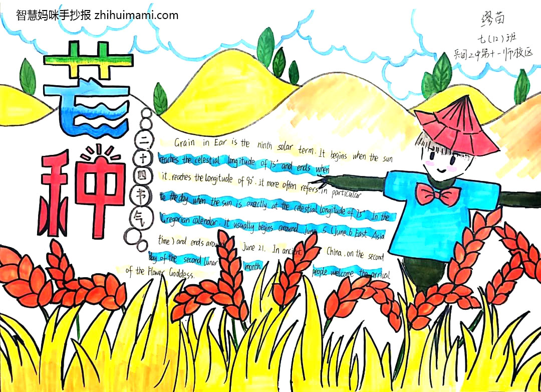 步骤3：二十四节气之芒种英语手抄报