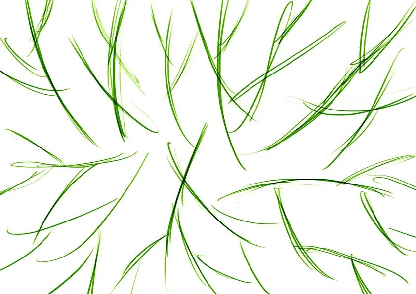 步骤1：首先我们用绿色马克笔在素描纸上画出一些绿色的线条。