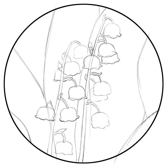 步骤2：接下来，我们继续用铅笔深入，完成精细草图。