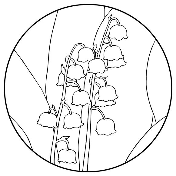 步骤3：该步骤我们对画面进行勾线，确定线稿。