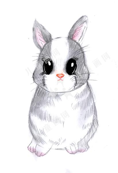 兔子儿童画欣赏