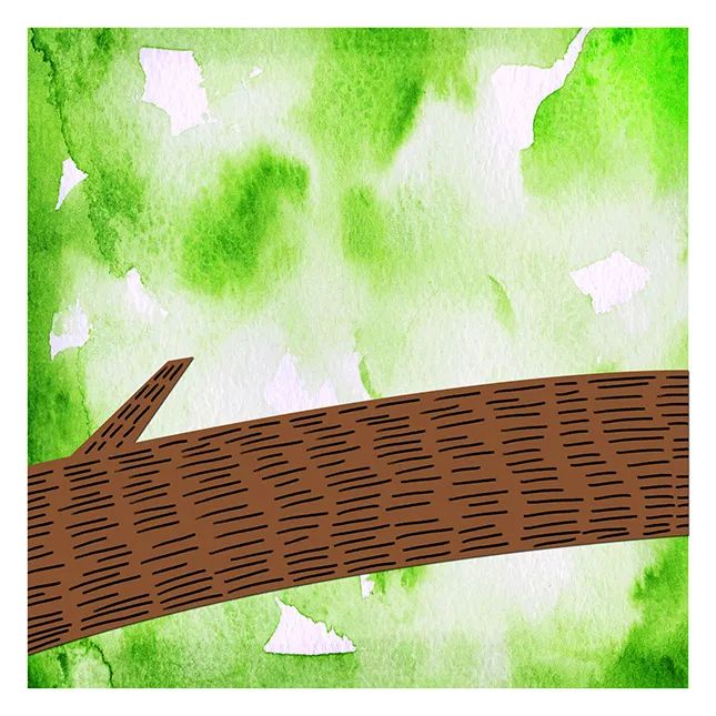 步骤2：然后我们用褐色硬卡纸剪出一根树枝，横跨整个画面，并在树枝上用黑色勾线笔绘制纹理。