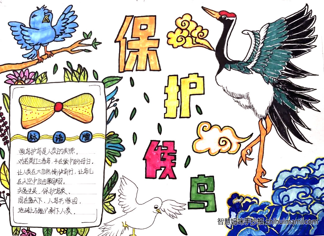 爱鸟月-爱鸟护鸟手抄报绘画一等奖（10张）-图5