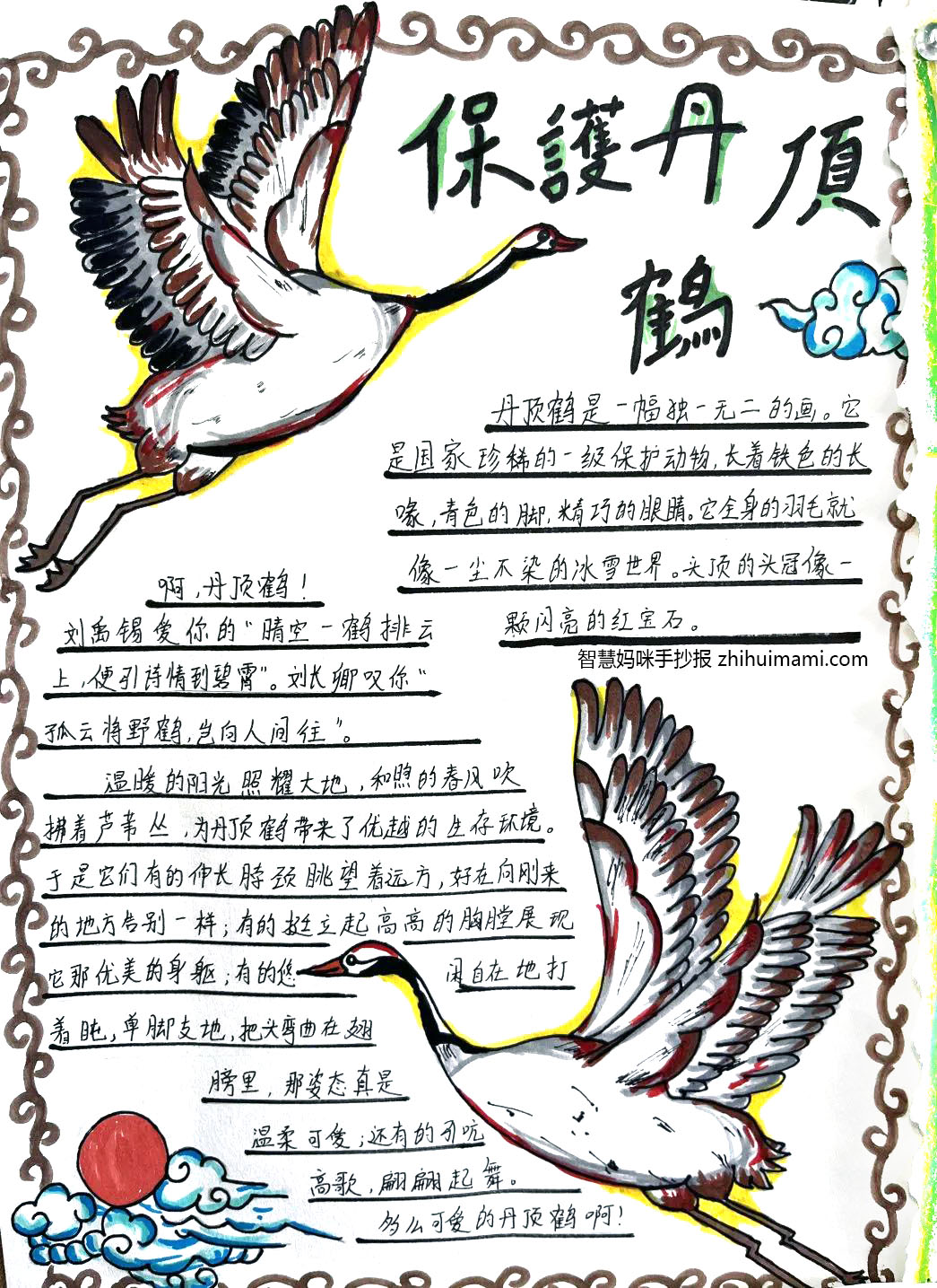 爱鸟月-爱鸟护鸟手抄报绘画一等奖（10张）-图9