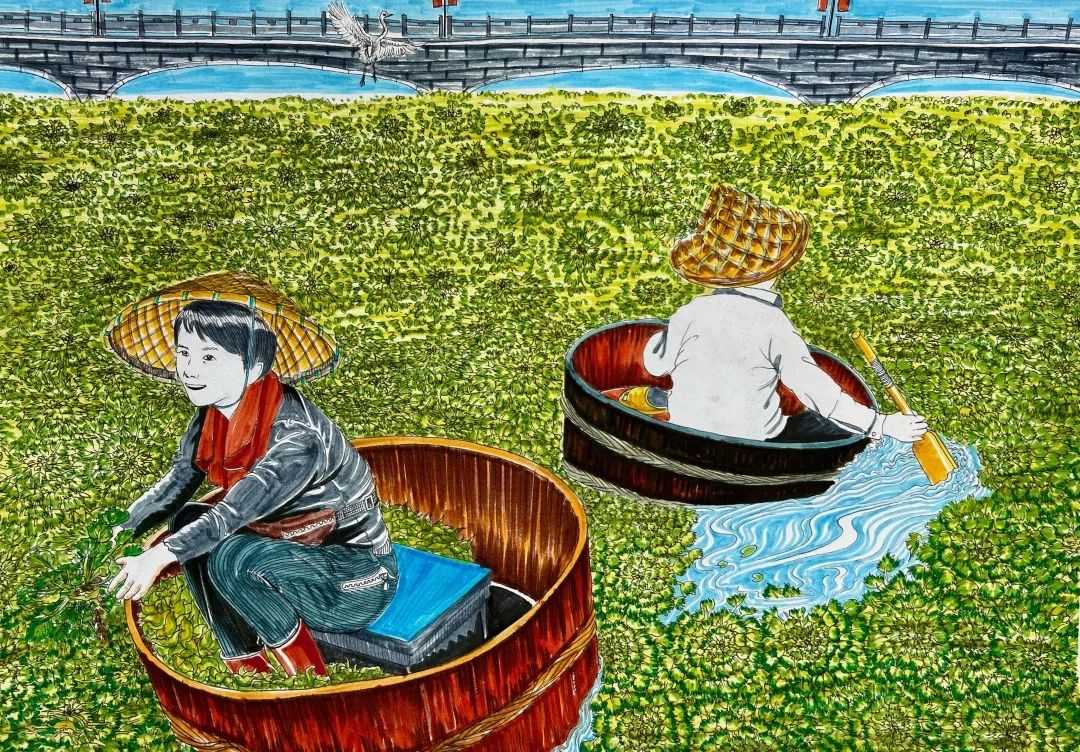 步骤1：《湿地菱角处处香》