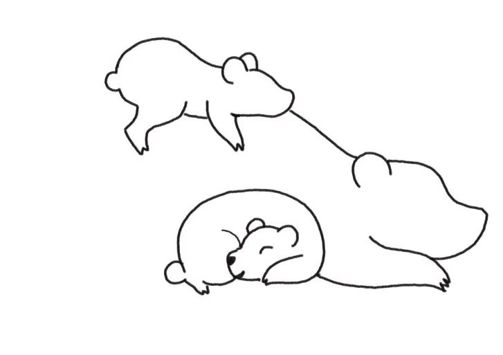 狗熊一家简笔画画法步骤-图4