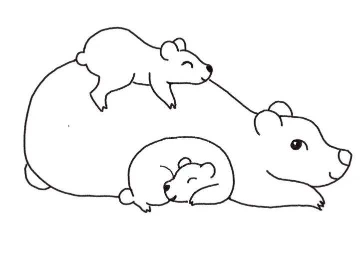 狗熊一家简笔画画法步骤-图5