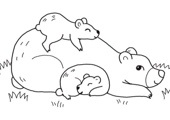 狗熊一家简笔画画法步骤-图6