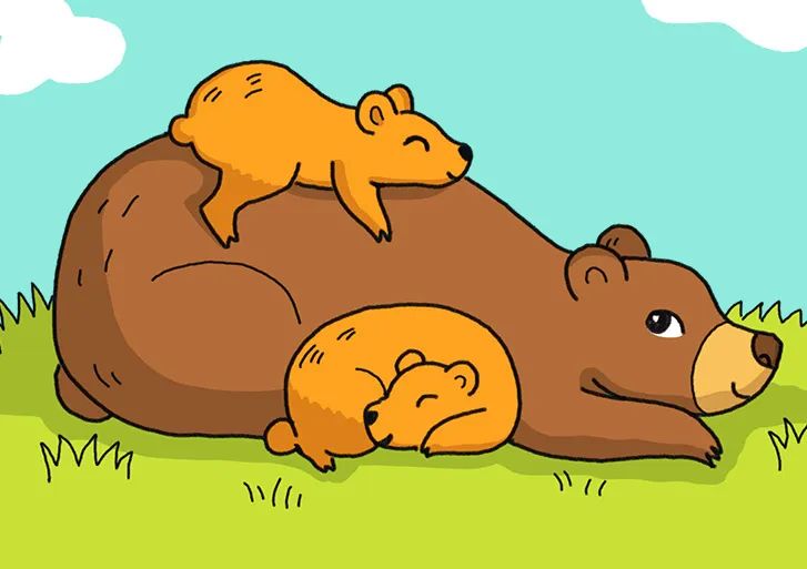 狗熊一家简笔画画法步骤