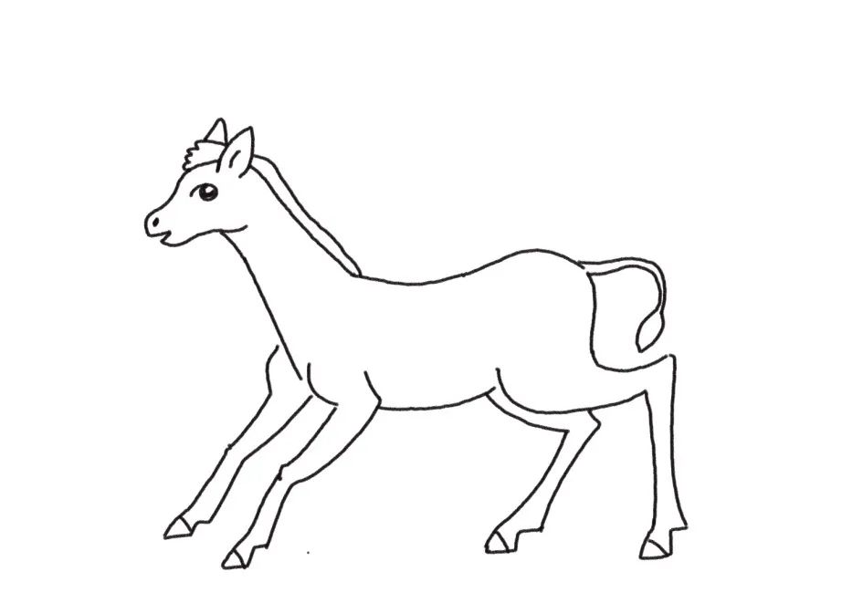 可爱的长颈鹿宝宝怎么画-图3