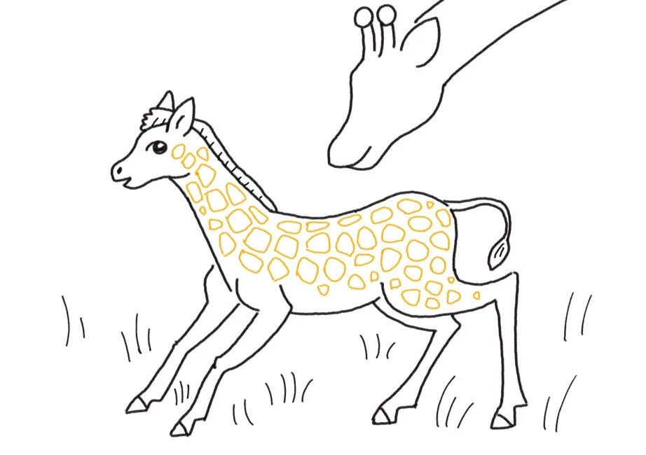 可爱的长颈鹿宝宝怎么画-图5