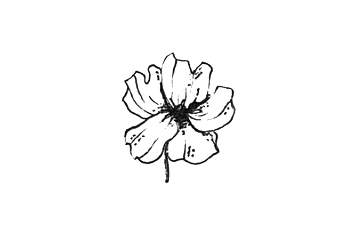 23种漂亮小花简笔画图片-图7