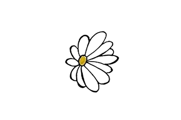 4种漂亮的菊花花朵简笔画画法