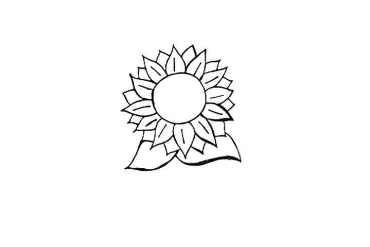 向日葵简笔画画法图解-图5