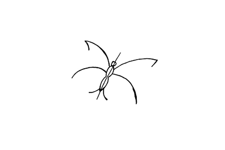 漂亮的蝴蝶简笔画画法图解-图2