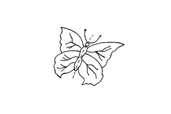 漂亮的蝴蝶简笔画画法图解-图4