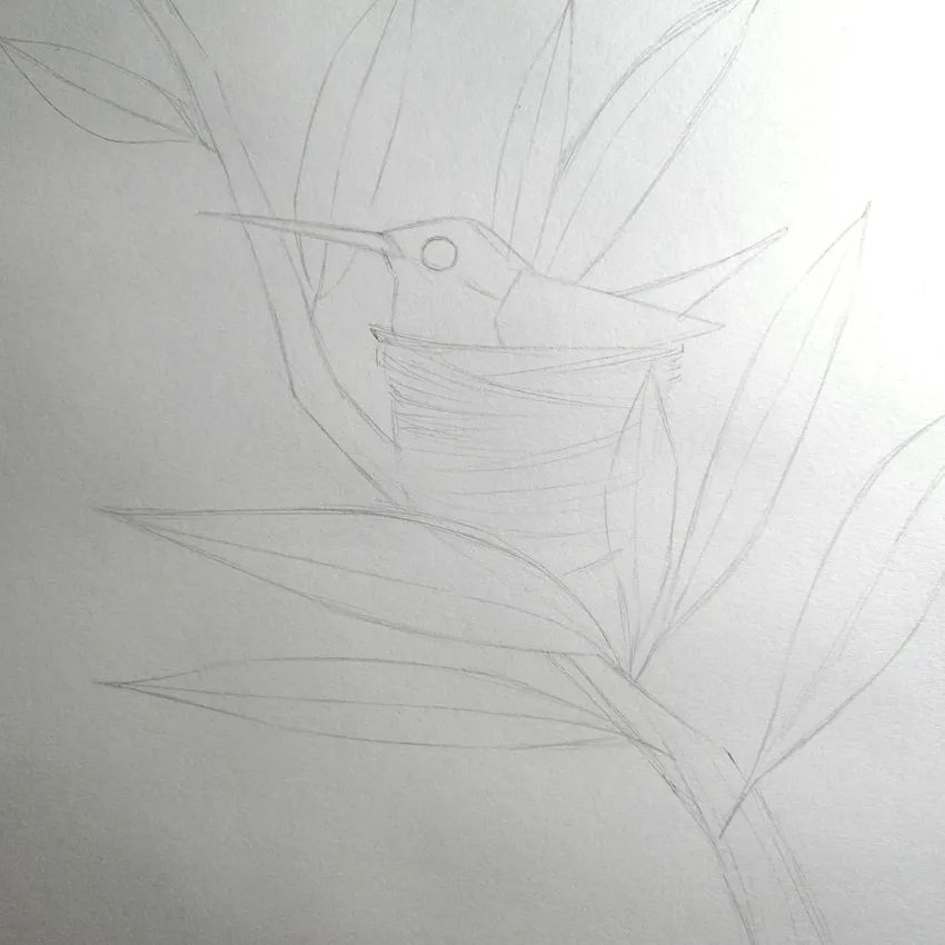 步骤2：接着完善树枝和树叶。