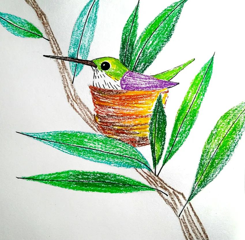 动物儿童画作品：蜂鸟