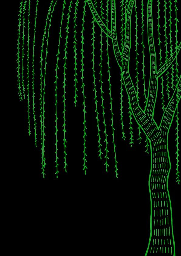 步骤3：接下来，我们耐心地刮出柳条上的柳叶，这个步骤需要我们的耐心和细心，不可刮的粗枝大叶，叶子要短小，体现初春垂柳的生长状态。画面主体完成。