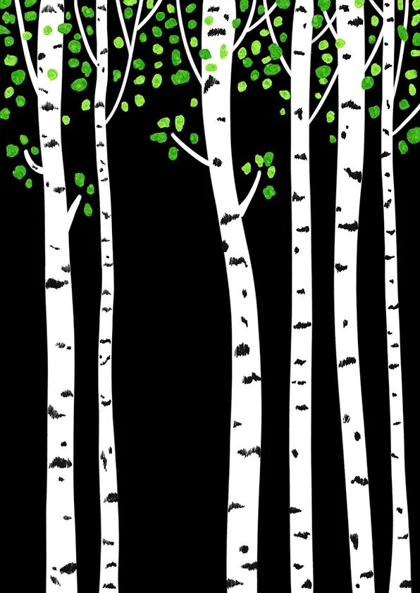 步骤3：接下来，我们用绿色颜料画出树的叶子，并用黑色勾线笔在白色树干上绘制最能体现白桦树特征的图案。