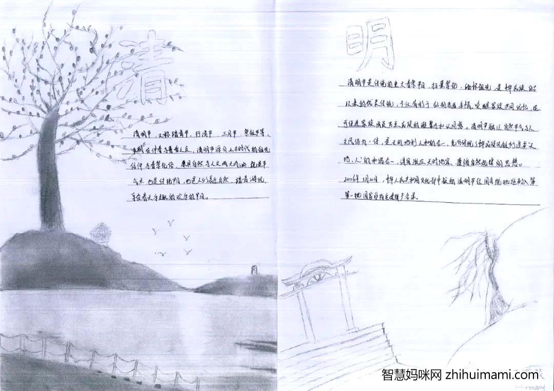 简单好画的清明节手抄报-图3