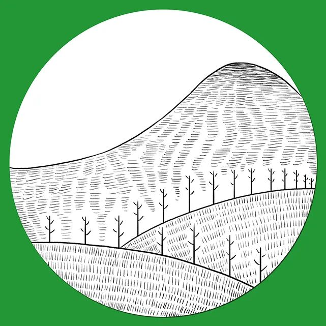 步骤2：用勾线笔画出明确的线稿，并排线做装饰。