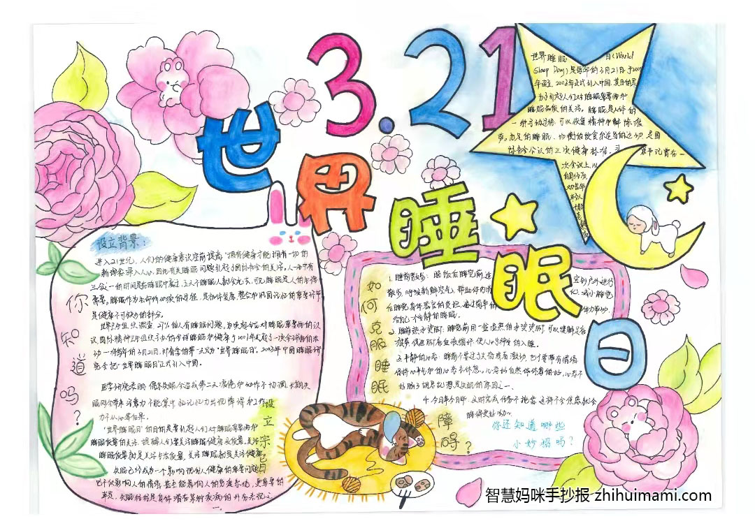 3.21世界睡眠日手抄报一等奖（11张）-图3