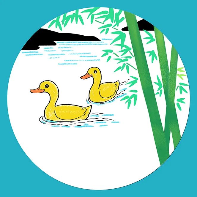 步骤3：给鸭子和水面涂色，画出竹子。