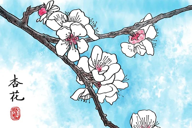 写实白描风格杏花儿童画