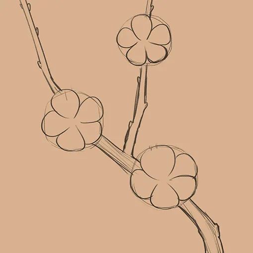 步骤2：然后我们继续用铅笔描绘枝干和花朵，完成精细铅笔稿。