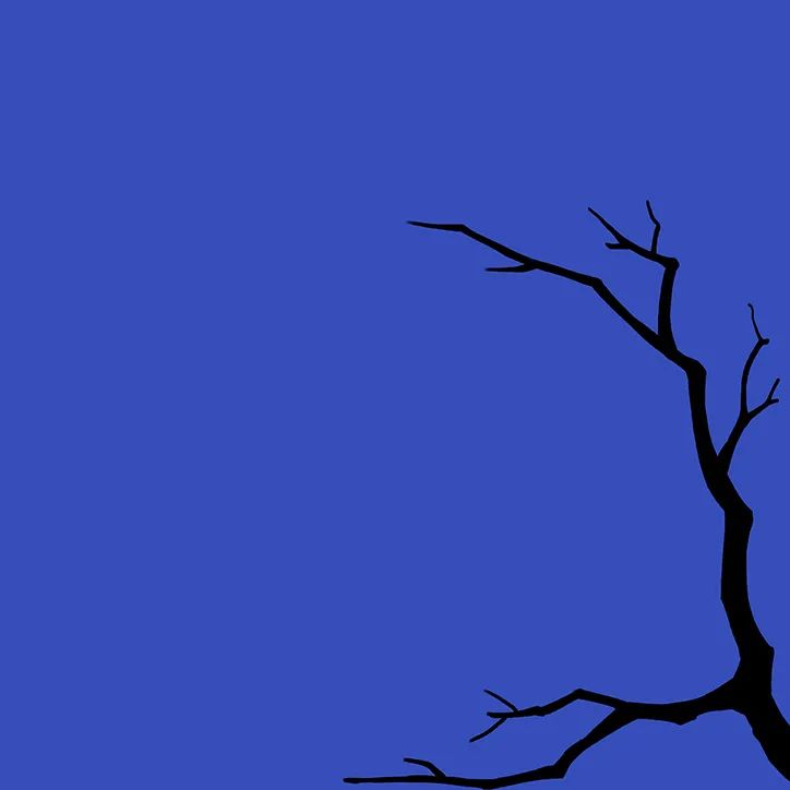 步骤1：首先我们在正方形深蓝色卡纸上画出黑色的枝干。