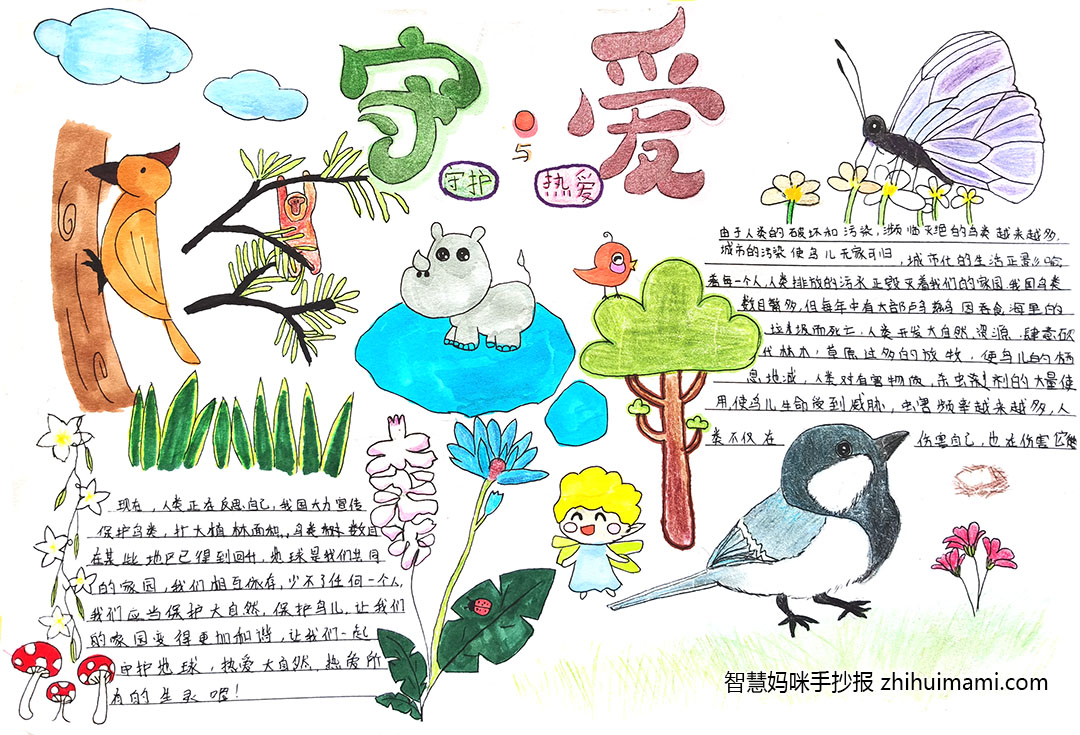 守护自然-世界环保日手抄报（9张）-图2
