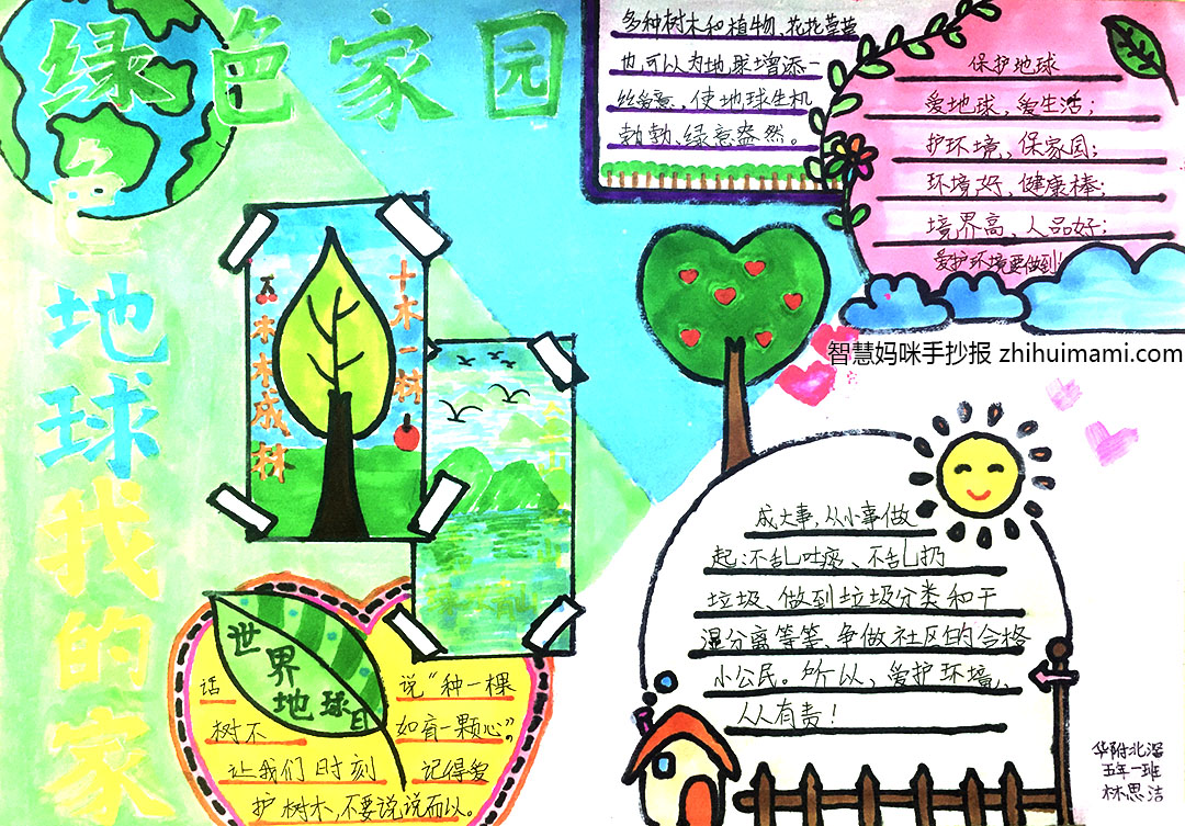 守护自然-世界环保日手抄报（9张）-图4
