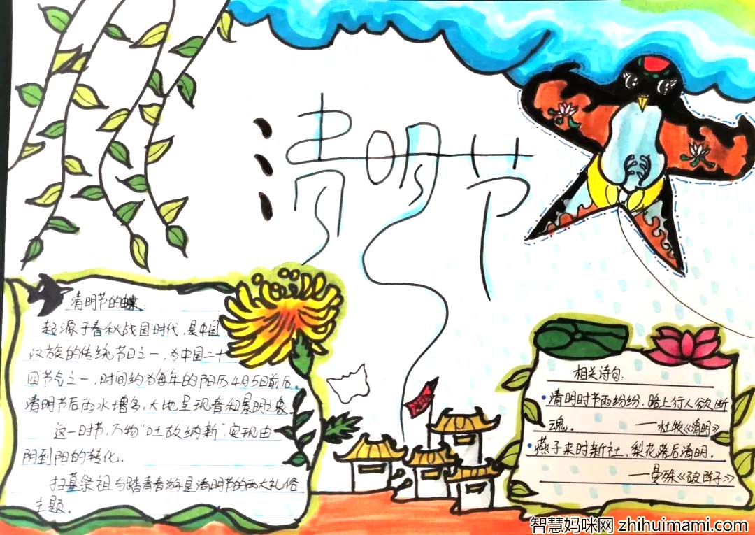 简单好画的清明手抄报-图5