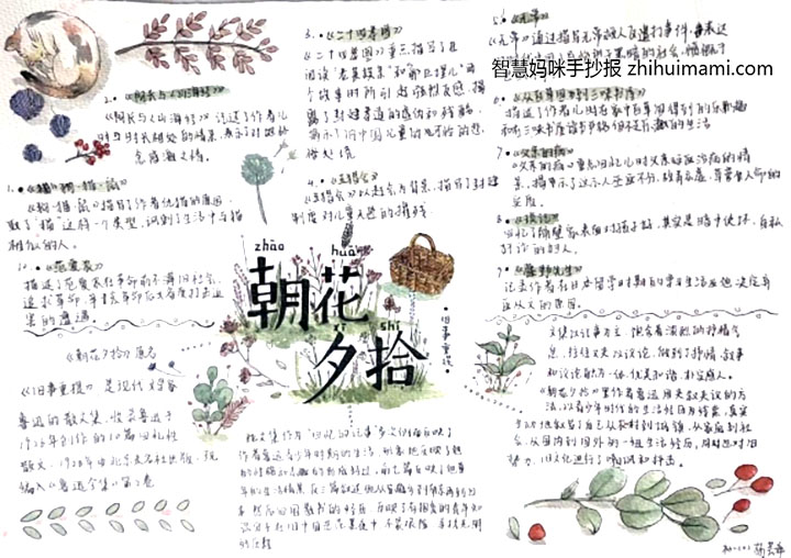 朝花夕拾手抄报初一获奖作品（10张）-图6