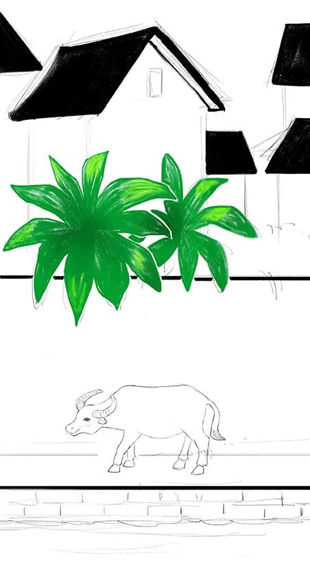 步骤2：根据草图逐渐开始给画面上色。