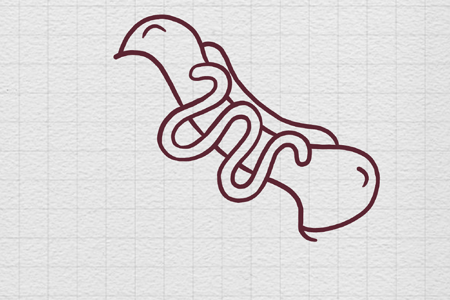 一根美味热狗怎么画-图4