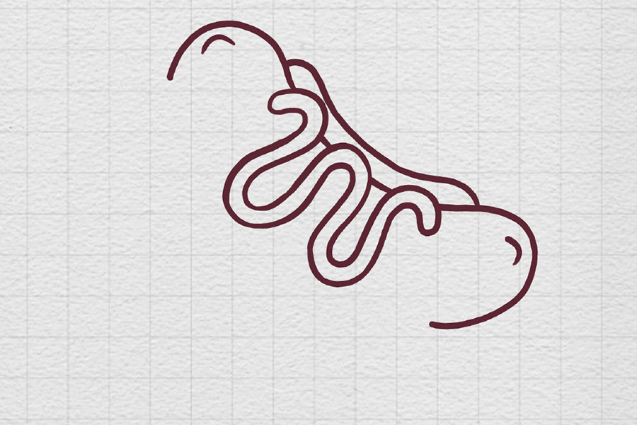 一根美味热狗怎么画-图3