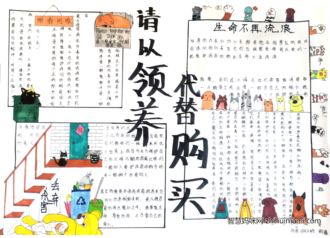 4.4世界流浪动物日手抄报绘画一等奖（9张）-图2