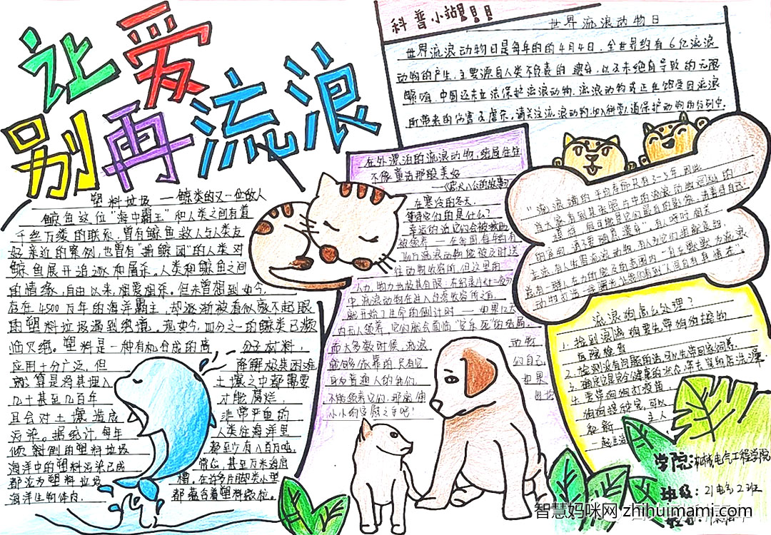 关爱流浪动物主题手抄报绘画（10张）-图1