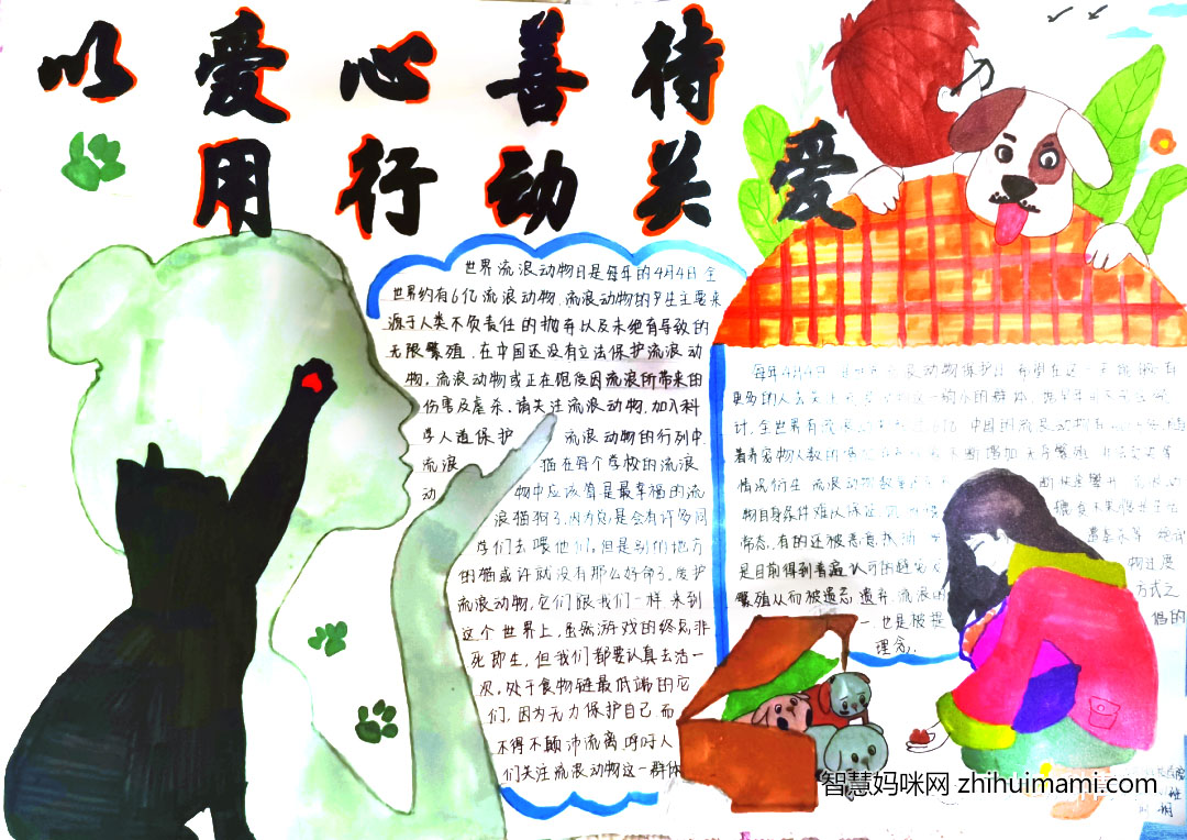 关爱流浪动物主题手抄报绘画（10张）-图4
