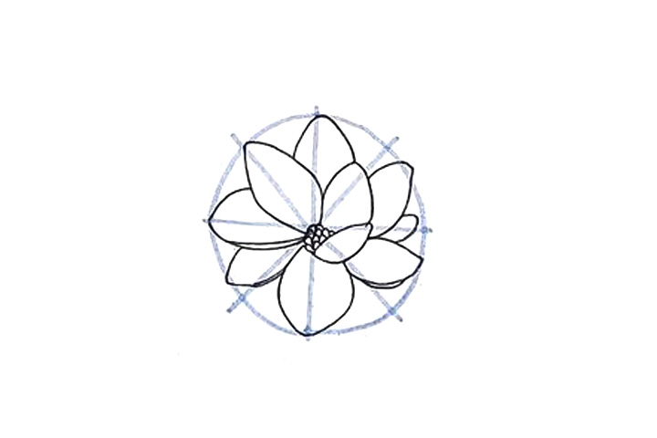 详细花朵绘画步骤 木兰花花朵简笔画画法-图5