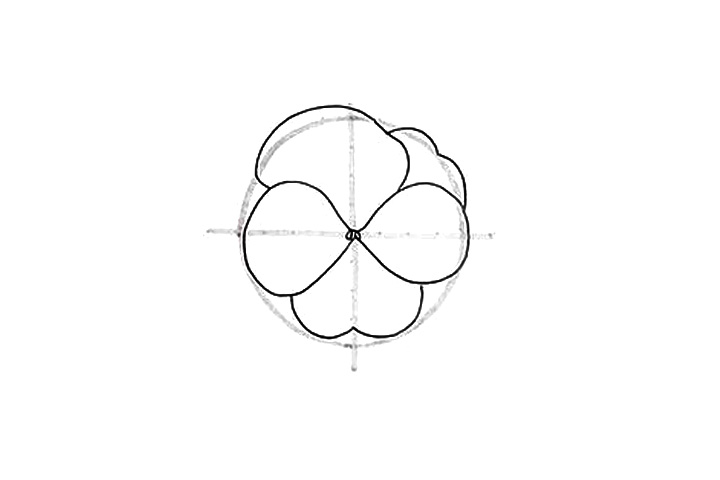 详细花朵绘画步骤 蝴蝶花花朵简笔画画法-图4