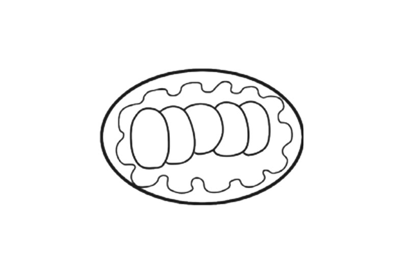 美味火锅菜一盘午餐肉简笔画-图3