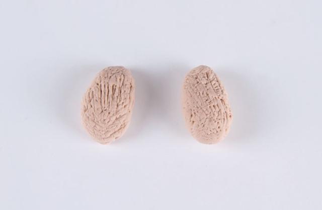 步骤5：按照上图的样子做出小狗的耳朵。