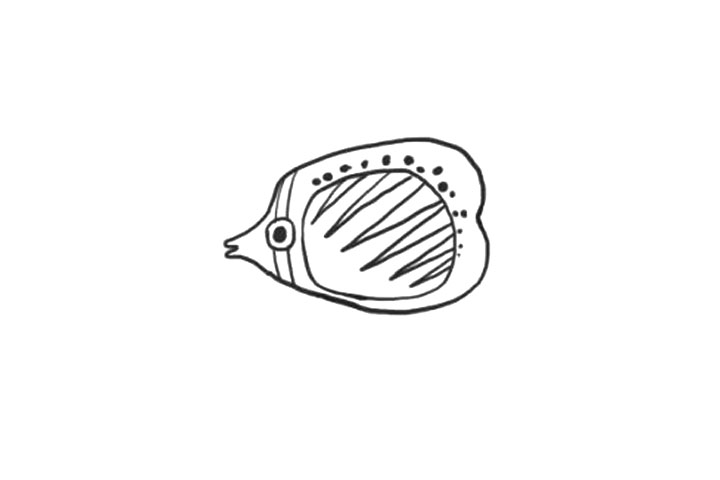 蝴蝶鱼的画法简笔画漂亮-图3